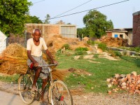Man on bicycle Lumbini, Nepal