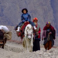 Nepalese Women with horses - Nepal
