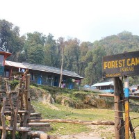 Forest Camp on the Mardi Himal Trek, Nepal