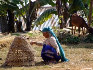 Nepalese Lady weaving basket, Pokhara, Nepal