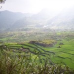 Morning mist rising up off a rice terrace in Sagada, The Philippines