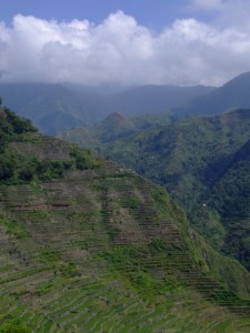 Rice Terraces at Batad, The Philippines (click to enlarge)
