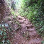 The Sagada trail The Sagada trail
