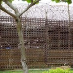 Maximum security block at Iwahig Prison