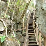 Wooden steps along the monkey trail in Sabang