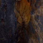 Hanging Alien like formation found in the cave Hanging Alien like formation found in the cave