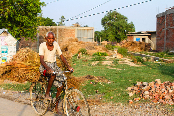 Man on bicycle Lumbini, Nepal