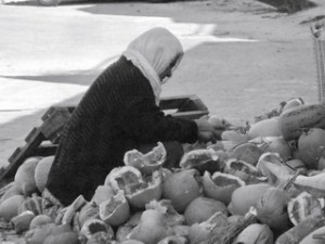 Pumpkin Seeding - Turkey