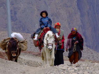 Nepalese Women with horses - Nepal