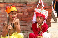 Gai Jatra, Nepal