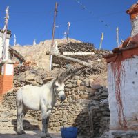Tesel village in Upper Mustang on day two