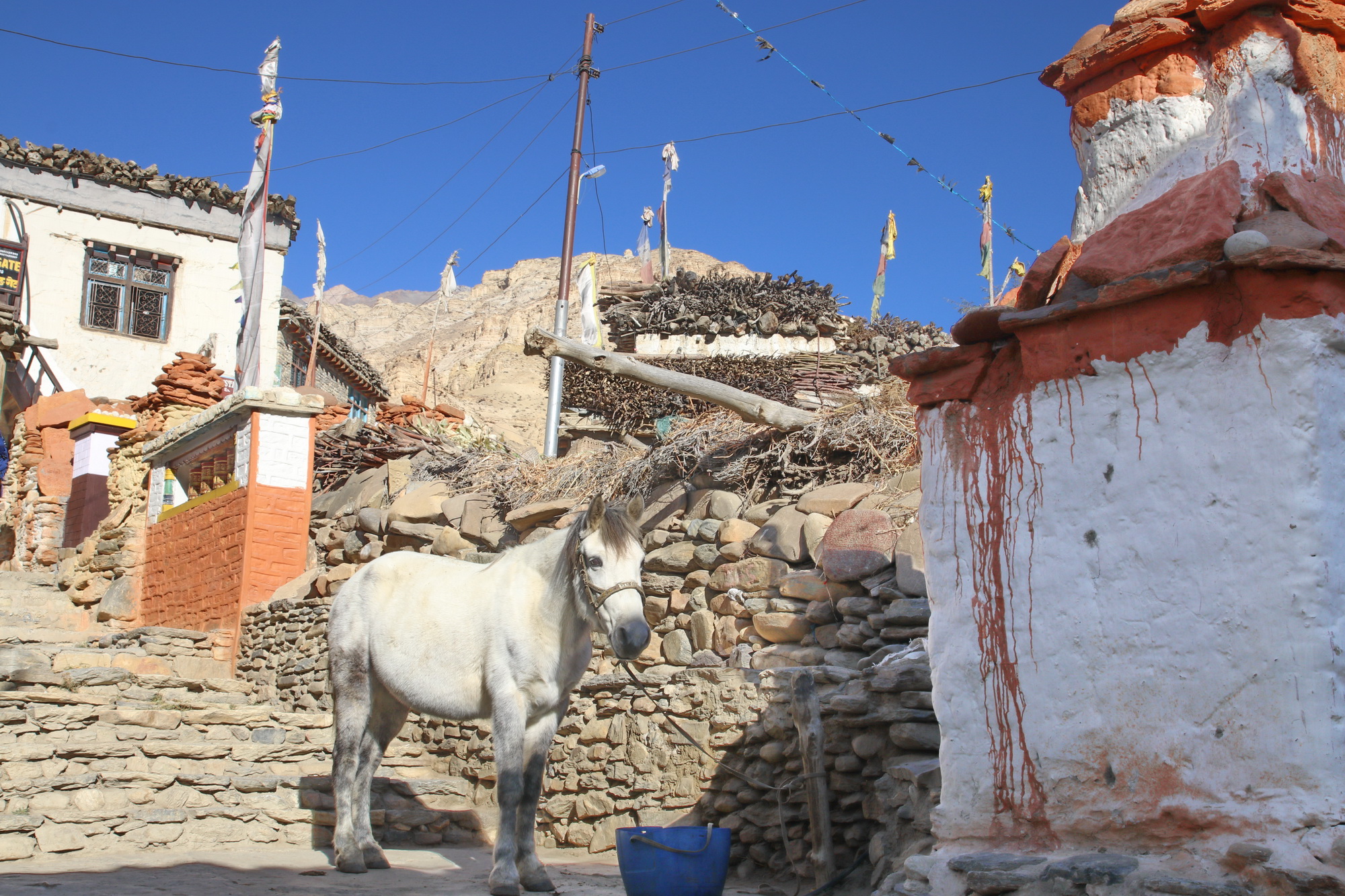 Tesel village in Upper Mustang on day two