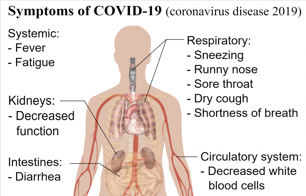 Symptoms of 2019 novel coronavirus