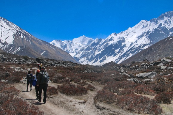 fit trekkers trekking the Langtang Valley