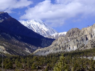 Sentier du Camp de Base de l'Annapurna Sentier du Camp de Base de l'Annapurna